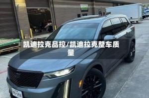凯迪拉克品控/凯迪拉克整车质量