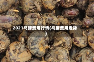 2021马蹄费用行情(马蹄费用走势)