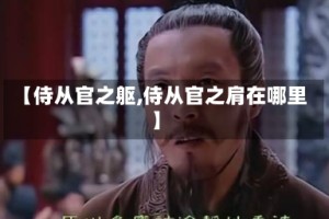 【侍从官之躯,侍从官之肩在哪里】