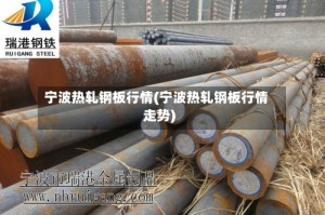 宁波热轧钢板行情(宁波热轧钢板行情走势)