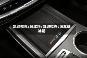 凯迪拉克ct6冰箱/凯迪拉克ct6车载冰箱