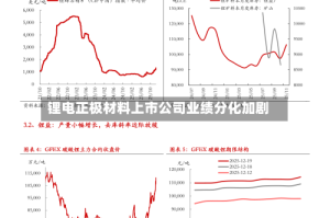 锂电正极材料上市公司业绩分化加剧