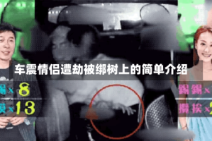 车震情侣遭劫被绑树上的简单介绍