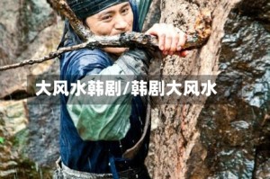 大风水韩剧/韩剧大风水