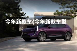 今年新款车(今年新款车型)