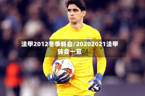 法甲2012冬季转会/20202021法甲转会一览
