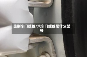 鉴别车门螺丝/汽车门螺丝是什么型号