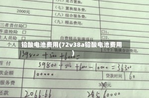 铅酸电池费用(72v38a铅酸电池费用)