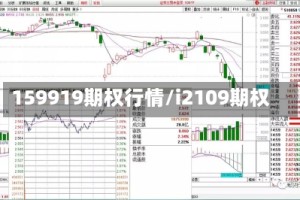 159919期权行情/i2109期权