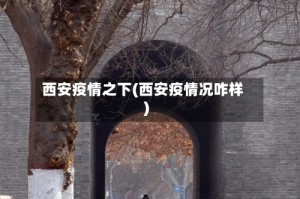 西安疫情之下(西安疫情况咋样)