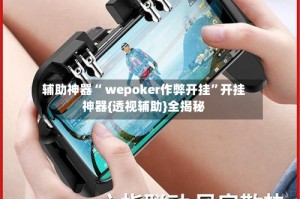 辅助神器“ wepoker作弊开挂”开挂神器{透视辅助}全揭秘