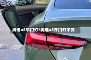 奥迪a5车门灯/奥迪a5开门灯不亮