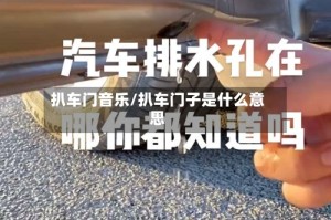 扒车门音乐/扒车门子是什么意思