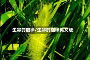 生命的旋律/生命的旋律英文版