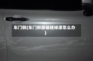车门侧(车门侧面磕碰掉漆怎么办)