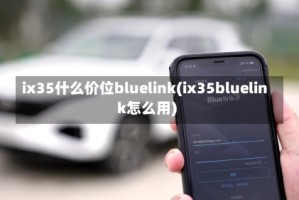ix35什么价位bluelink(ix35bluelink怎么用)