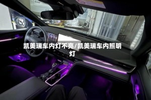 凯美瑞车内灯不亮/凯美瑞车内照明灯