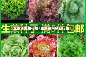 生菜子费用行情/生菜费用今日行情