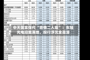 中天国富保代 “悲情二人组” ：东旭光电旧案落地，投行浮沉全是泪