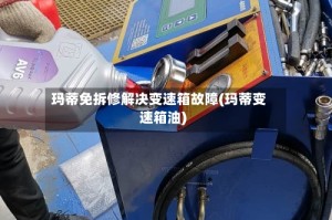玛蒂免拆修解决变速箱故障(玛蒂变速箱油)
