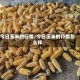 今日玉米的行情/今日玉米的行情怎么样