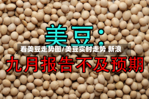 看美豆走势图/美豆实时走势 新浪