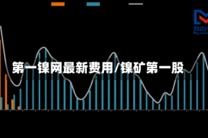 第一镍网最新费用/镍矿第一股