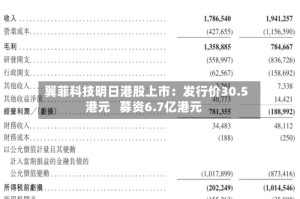 翼菲科技明日港股上市：发行价30.5港元   募资6.7亿港元