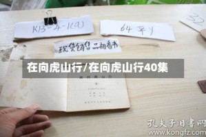 在向虎山行/在向虎山行40集