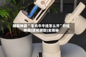 辅助神器“ 手机牛牛挂怎么开”开挂神器{透视辅助}全揭秘