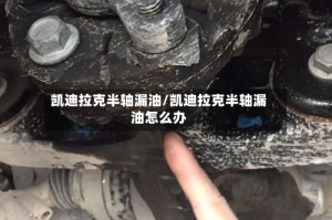 凯迪拉克半轴漏油/凯迪拉克半轴漏油怎么办
