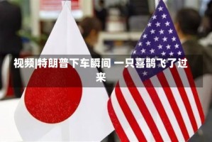 视频|特朗普下车瞬间 一只喜鹊飞了过来