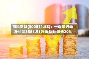 铂科新材(300811.SZ)：一季度归母净利润8851.91万元 同比增长20%