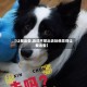【让我出去,自己不想出去玩他非得让我出去】