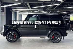 【跑车鸥翼车门,欧翼车门有哪些车】