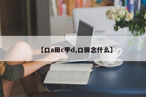 【口a田c甲d,口田念什么】
