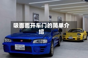 吸面面开车门的简单介绍