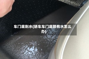 车门底剩水(轿车车门底部有水怎么办)