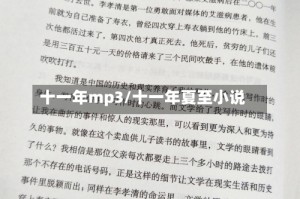 十一年mp3/十一年夏至小说