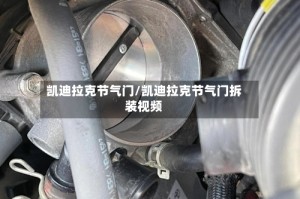 凯迪拉克节气门/凯迪拉克节气门拆装视频