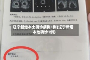 辽宁新增本土确诊病例1例(辽宁新增本地确诊1例)