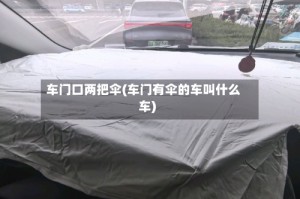 车门口两把伞(车门有伞的车叫什么车)