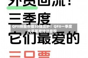 QFII持股市值50强出炉！QFII一季度大手笔增持这些股