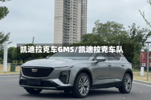 凯迪拉克车GMS/凯迪拉克车队