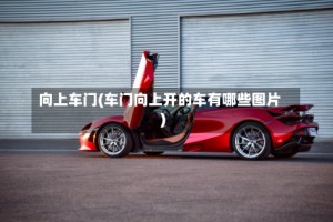 向上车门(车门向上开的车有哪些图片)