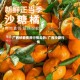 广西砂糖费用行情走势/广西沙糖行情