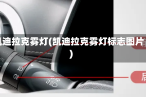 凯迪拉克雾灯(凯迪拉克雾灯标志图片)