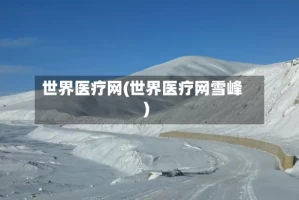 世界医疗网(世界医疗网雪峰)