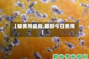 【糠费用最新,糠醇今日费用】