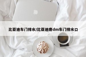 比亚迪车门排水/比亚迪唐dm车门排水口